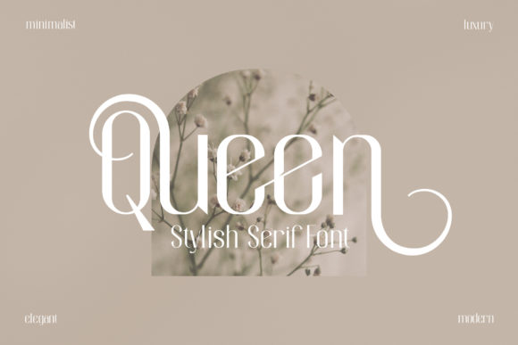 Why Queen Typeface is Your Next Design Secret Weapon
